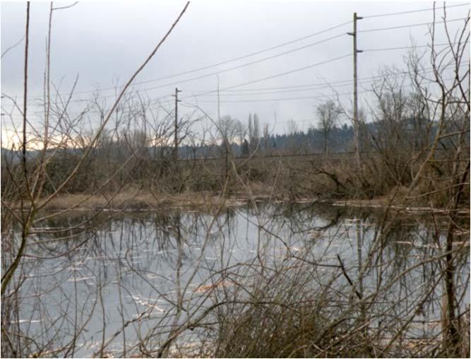 Wetland depression: poles located