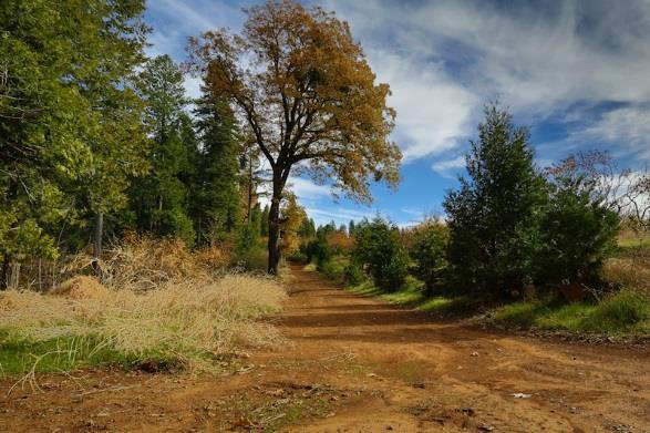The Property This 40-acre ranch is a rare gem in the Sierra Nevada foothills and is located just east of the historic gold rush town of Placerville in an agricultural and tourism area known as Apple