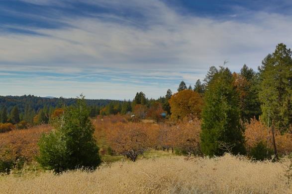 El Dorado County is just 30 miles east of Sacramento, California's State Capitol and only 40 miles west of Carson City, Nevada's State Capitol.