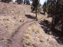 Water flows down the drop, running off at the low spot before the water gains significant momentum or volume. Contour trails with grade reversals are often referred to as rolling contour trails.