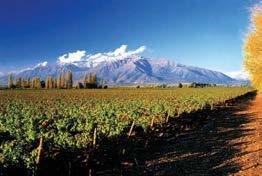 ! For adventure lovers, the Maipo Valley"offers white-water