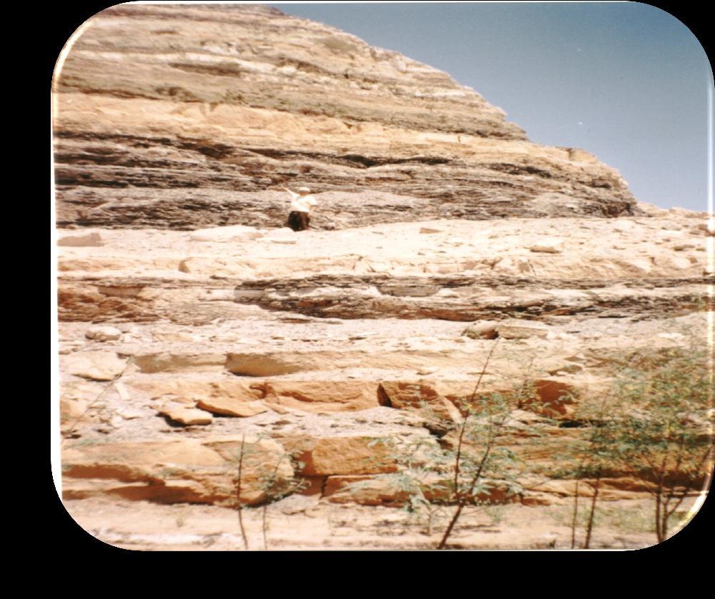 Western Desert Phosphate Photograph