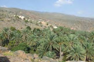 Hamra, on the south side of the Western Hajar mountains.