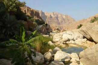 from Sur to Muscat 215km-2h20 The highway follows the coast, between the Gulf of Oman and the Eastern Hajar range, and offers pretty views on the sea and the
