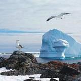 DAY 4: Antarctic Peninsula - Day 4 to 7 For the next four days we explore the Antarctic Peninsula that is famed for its majestic mountains, glaciers, calm waters
