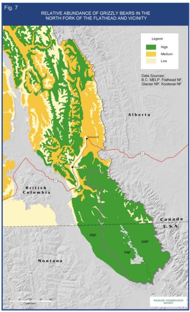Figure 7. Relative Abundance of Grizzly Bears in the North Fork of the Flathead River watershed.