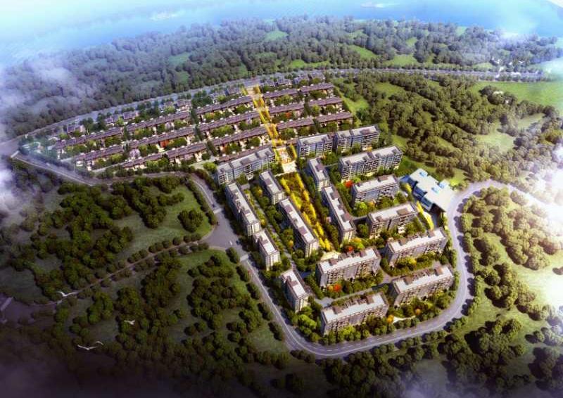 New Project - Lijia (50%-owned) Wuhan Dream Land (50%-owned) New Project -