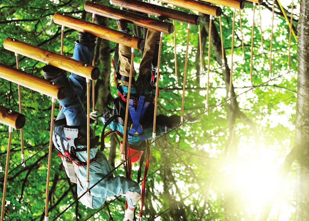Highwire Adventure Hidden among the woodlands of Dogmersfield Park is the new Highwire Adventure.
