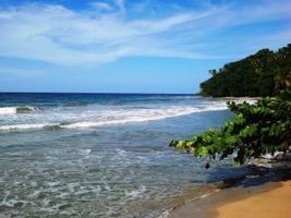 On this day of your vacation we ll take you to the Caribbean Coast of Costa Rica, considered by nature lovers like us, as one of the most beautiful parts of the country, which remains green all