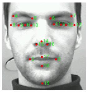 ASMs for Human Face Images We use Tim Cootes' manually annotated points of 1521 human
