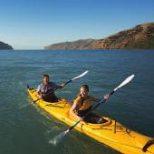 Delve into the many museums, art galleries and theatre shows on offer and if you re into the outdoors, Wellington has actionpacked adventure activities like mountain biking and sea-water kayaking, as