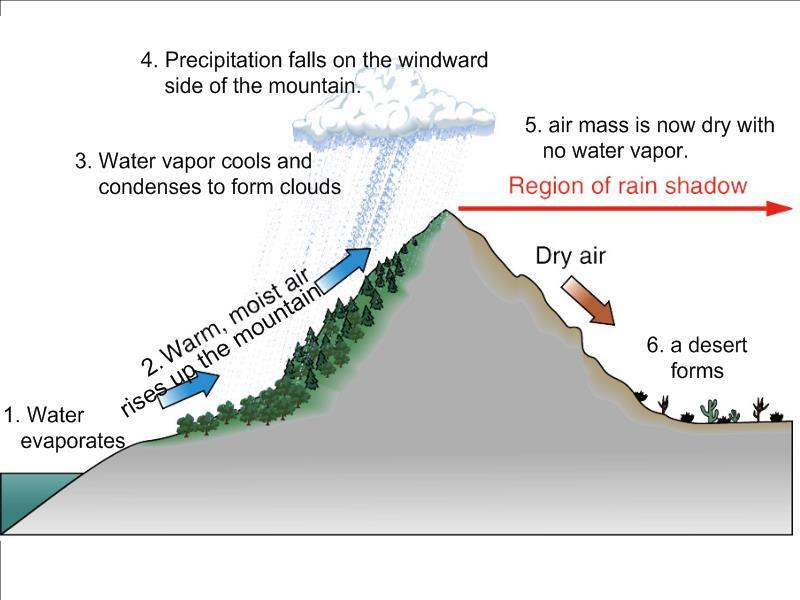 Eastern Cascade Slopes and Foothills Ecoregion Temperate Grassland Biome In the rain shadow (see diagram to the right) of the Cascade Range, the eastern side of the mountains experiences greater