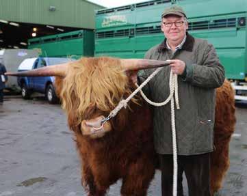 123rd Spring Show & Sale Report cont. An Sidhean was bought by Ken and Eva Brown, Ledlanet, Kinross, for 3000gns.