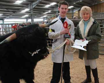 123rd Spring Show & Sale Report cont. Senior Heifer Reserve Senior champion Ellit 2nd of Pennygown from Mr DJ MacGillivray sold to Highland Wagyu for 2400 gns.
