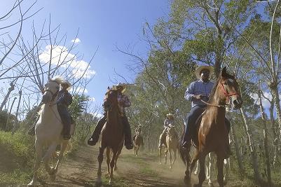 Experienced guides will show you a glimpse of the day-to-day life of the Dominican Cowboy, walking through the beautiful trails, hills, lagoons and green pastures.