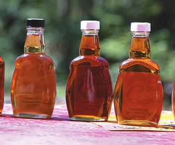 Most of us living out here know there are different grades of syrup from Golden Delicate to Dark Robust and understand the importance of cold nights and sunny days for a good run.