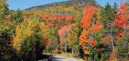 2019 Departures: June, September, October Autumn Tour in New England 8 Days Immerse yourself in New England s annual display of fall colors on this seasonal tour featuring three scenic rail
