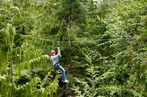 KETCHIKAN Ketchikan Rainforest Ropes & Zipline - $ 127 USD per person 3.75 hours See the rainforest like eagles do as they fly over the forest canopy.