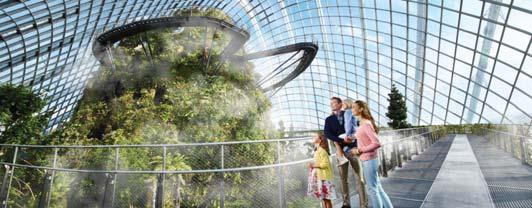 Replicating the cool and dry Mediterranean climate, Flower Dome showcases exotic plants from 5 continents in 9 different gardens.