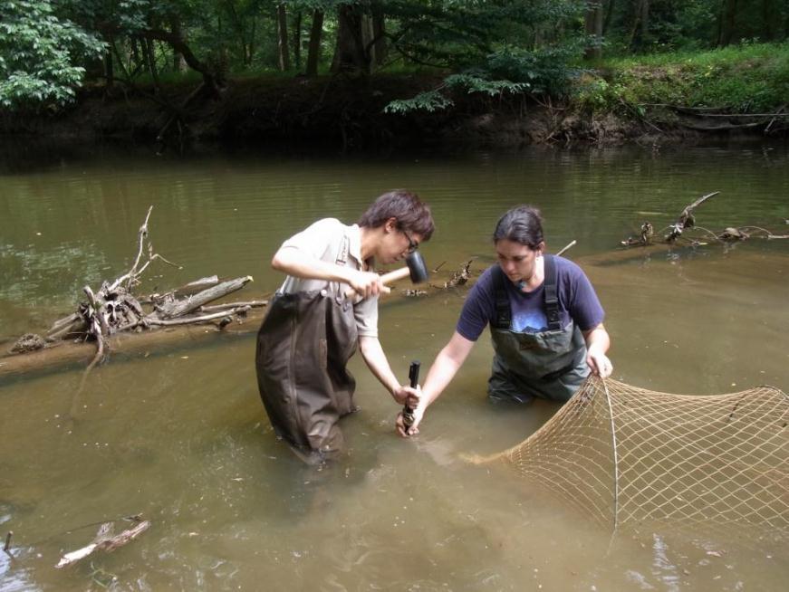 Installing a fish-monitoring net with park