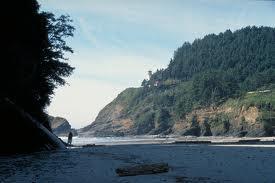 Pacific Coast continued Pacific Northwest has a wet and cool climate which has led to the growth of extensive forests featuring some of the largest trees in the