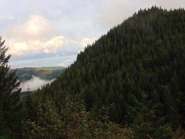 Pacific Crest National Scenic Trail Columbia Gorge Project Details LWCF Request: $1,040,000 Congressional District: WA-03, Representative Herrera Beutler Acres: 473 Number of Tracts: 2 Acquiring