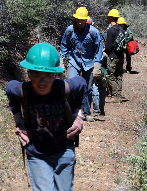 Pacific Crest National Scenic Trail Youth Trail Crew Programs Boy Scouts: In 2015, Boy Scout Troop 555 contributed more than 350 hours of service work on the PCT in the Angeles National Forest.