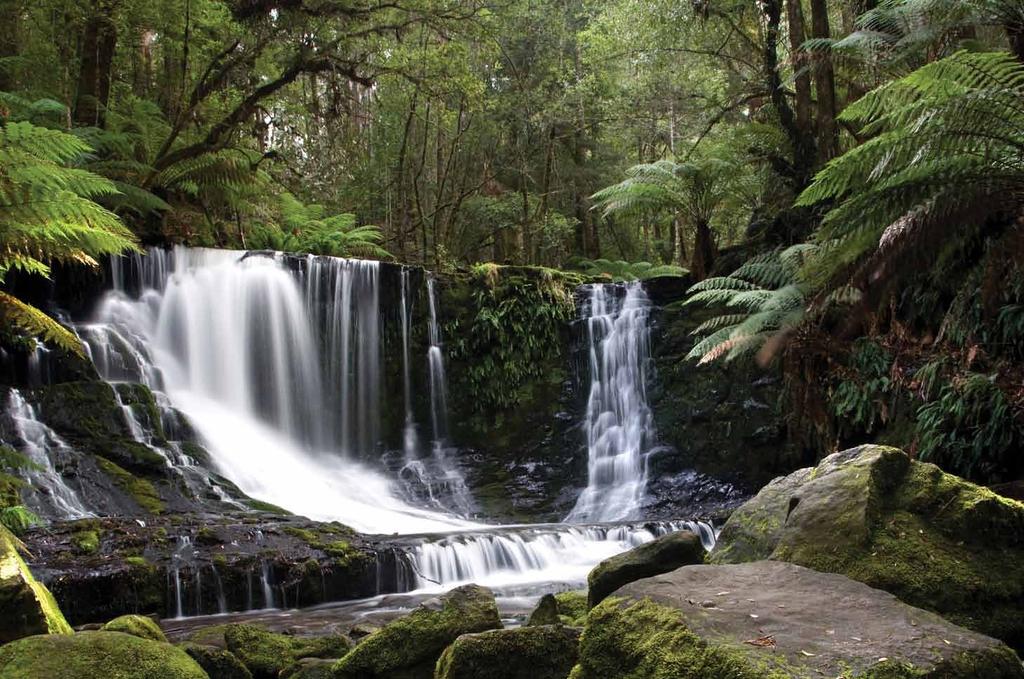 Mount Field National Park Founded in 1916 this is Tasmania s oldest national park, and was the last refuge of the now reportedly extinct Tasmanian Tiger or Thylacine.