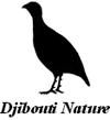 Spring raptor migration across the Bab el Mandeb Straits and fitting of GPS PTT to Egyptian vulture Djibouti Side- February 28 to March 14, 2013 H.