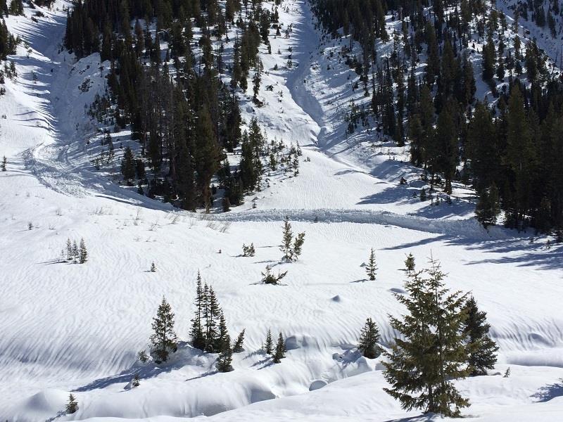 Sawtooth Avalanche Center Annual Report