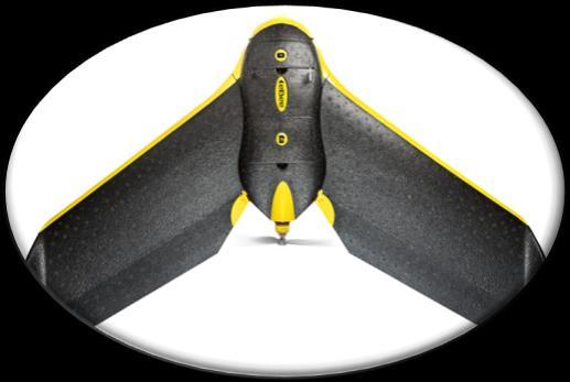 Unmanned Aerial Systems AgriEye Multirotor UASs Vertical takeoff and landings Ability to hover Limited flight time Difficult to fly if not fully automated Requires fully automated flight features for