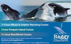 Boat charters operate on a regular basis and offer breakfast-cruises, sea-, Bay- and sunset-cruises in Algoa Bay as well as specialized boat based Penguin Island and Whale &