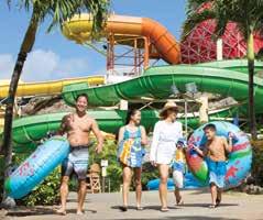 Sightseeing O AHU Wet n Wild Hawaii Located 45 minutes from Waikiki, Wet n Wild is a must-do for families and thrill seekers alike!