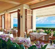 The hotel offers unparalleled views of the ocean from most of its guest rooms with the remainder of the rooms overlooking the beautiful Ko olau Mountains and Waikiki skyline.