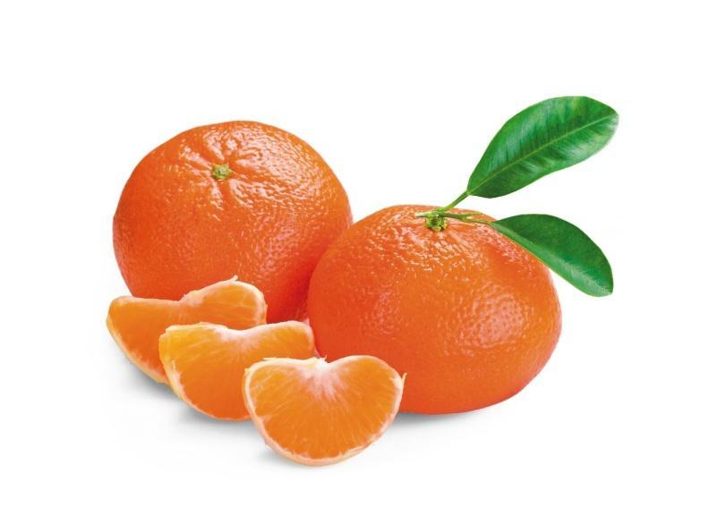 Neretvanske mandarine (Mandarines from Neretva valley) Mandarine growing started in the year 1960 and it is the most represented culture planted on more than 50% of arable areas.