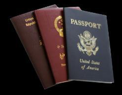 airline personnel), as well as their passports or identity documents.