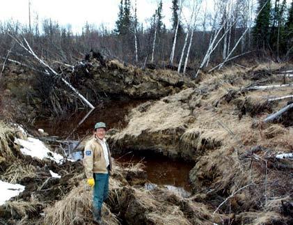 Permafrost Thawing Damage