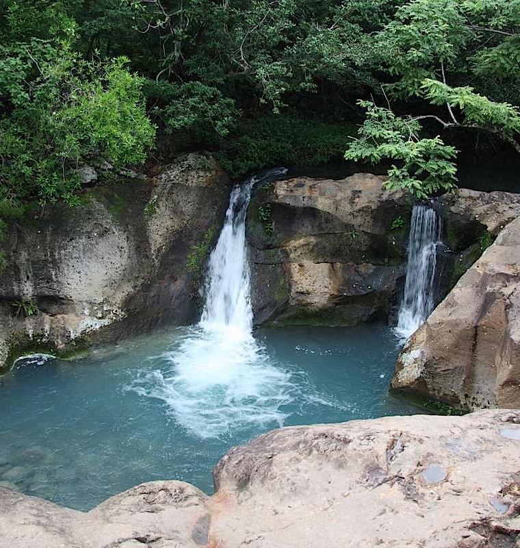Borinquen Experience Experience enchanting forests,
