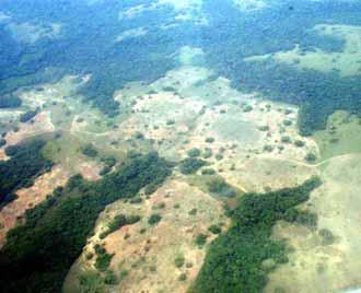 Reported aerial spraying The Colombian anti-drugs strategy includes a number of measures ranging from aerial spraying to forced or voluntary manual eradication including alternative development and