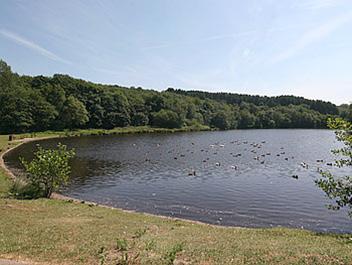 Withnall Angling Club Buckshaw Youth Association Shale Holes Lodge (PR6 8RG) although other lodges are available with membership Buckshaw Community Centre, Unity Place, Buckshaw Village PR7 7HZ w: