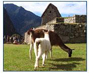 May to September is the dry season in the mountain highlands near Cusco and Machu Picchu with dry, hot days and clear, cold nights.