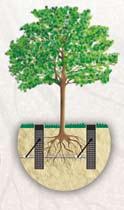 Kap-po-kap cijevi Mikrorasprskivač na bodežu Sustav za navodnjavanje korijenja (RWS) za drveće i grmlje