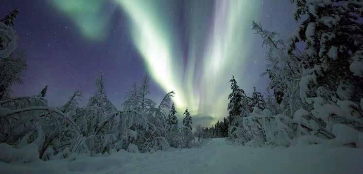 CHRISTMAS IN LAPLAND $6199 PER PERSON TWIN SHARE TYPICALLY $9299 HELSINKI SANTA CLAUS VILLAGE RANUA WILDLIFE PARK THE OFFER White capped tree tops, the sound of sleigh bells ringing in the snow,