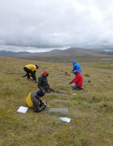 The more than 20-year record from the Mackenzie Mountains confirms an increase of approximately 1.3 C in mean annual permafrost temperature. This coincides with an increase in treeline tree growth.