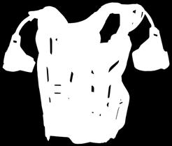 customizable chest protector.