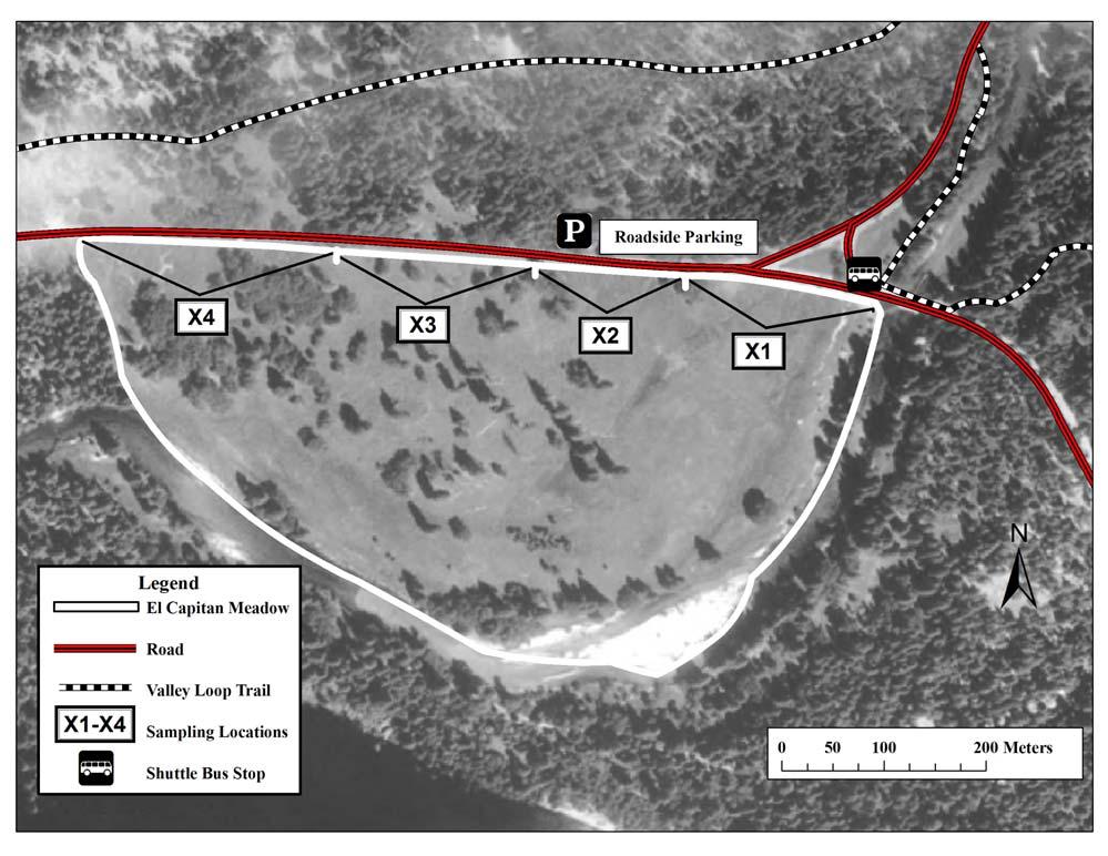 The El Capitan Meadow study site includes a total of four sampling locations, all of which are access points (Figure 2).