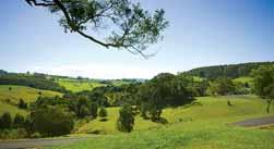 Extraordinary rural views With acres of north eaerly aspt Surrounded by pical palm gardens 15m saltwater l pool Swimming holes Proximity to Bangalow & Byr Bay Immense potential! For sale 1,3,000.