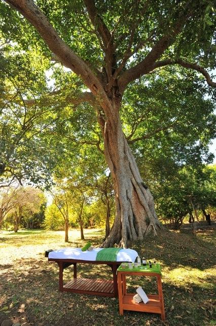 Fig Tree Spa Tucked away in a quiet and private corner of the Kafunta property you can enjoy some refreshing and relaxing treatments.