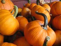 9.Pumpkin Festival at the Huron Boat Basin Saturday, October 14, 2017 1:30 PM to 3:30 PM Huron Boat Basin 417 Main St Huron, OH 44839 Held in conjunction with the Chamber-sponsored Huron River