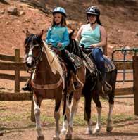 Under the instruction of our qualified wranglers, riders will learn how to work with a horse both on the ground and in the saddle.